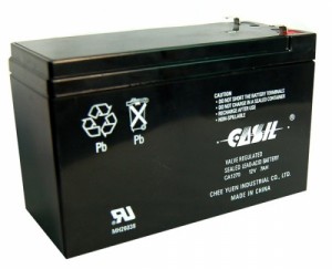 Аккумулятор CASIL CA1272